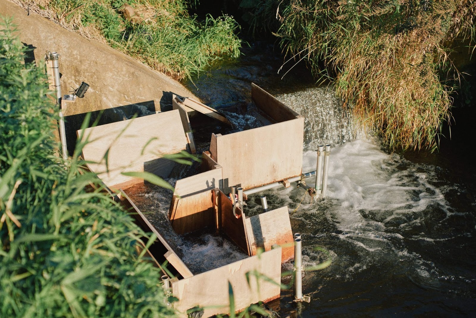 森から海へ。ビーバー、鮭、牡蠣がつなぐ水の循環